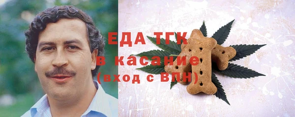индика Верхний Тагил