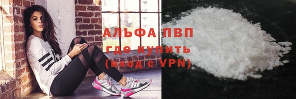 индика Верхний Тагил