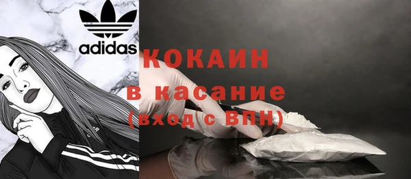 индика Верхний Тагил