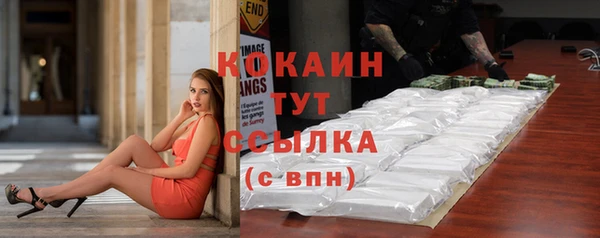 индика Верхний Тагил
