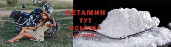 индика Верхний Тагил