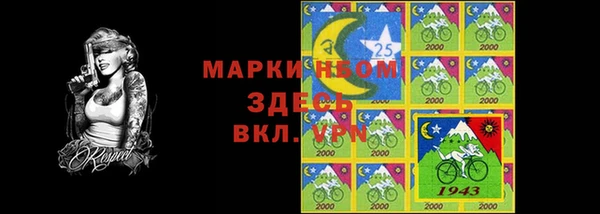 индика Верхний Тагил