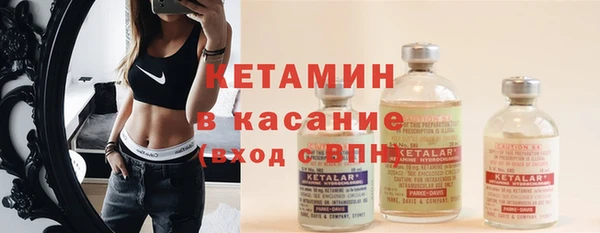 индика Верхний Тагил