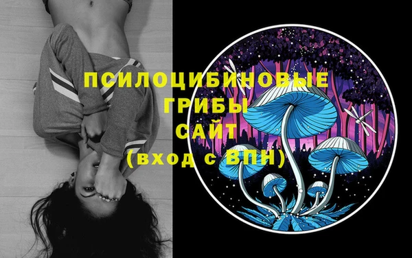 амф Верея