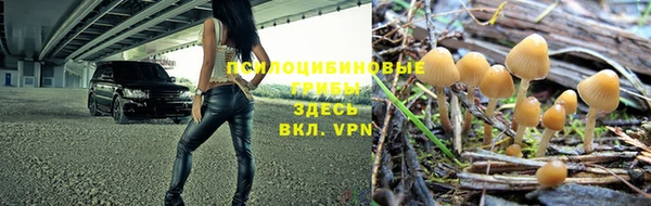индика Верхний Тагил