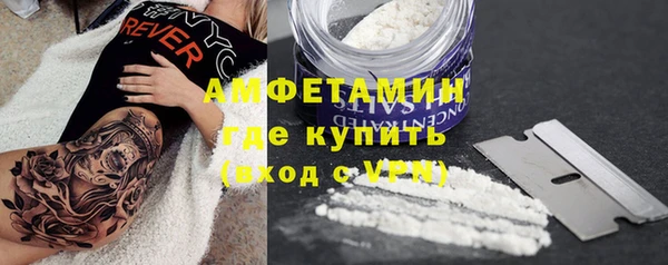 индика Верхний Тагил
