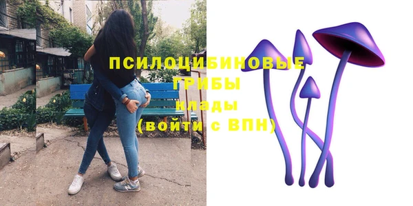 индика Верхний Тагил