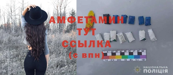 индика Верхний Тагил