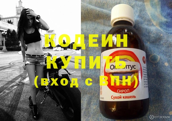 амф Верея