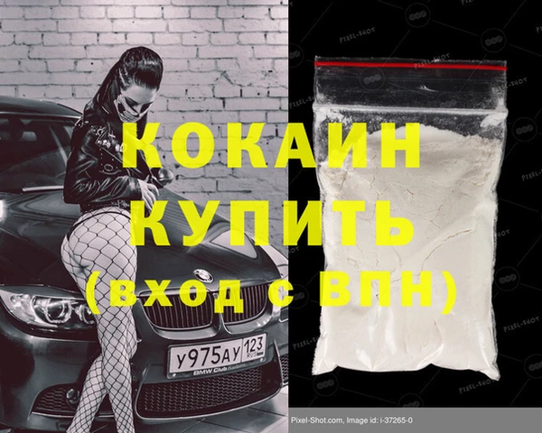 индика Верхний Тагил