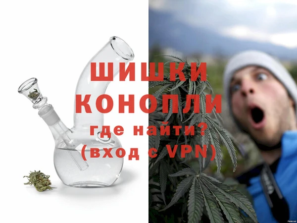 индика Верхний Тагил